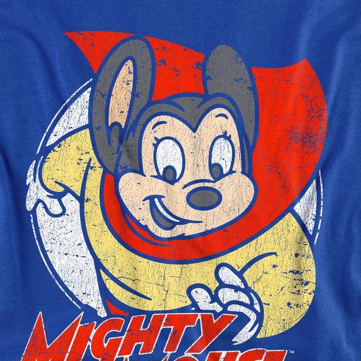 Actual product image Fruit of the Loom Unisex Adult Mighty Circle Sweatshirt (L)