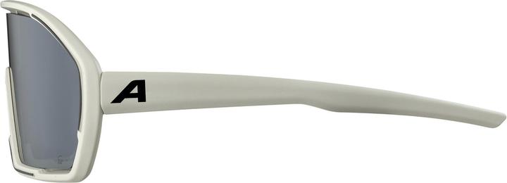 Immagine prodotto ALPINA SPORTS Bonfire Q-Lite (Cool Grey Matt-Specchio d'argento, Argento)