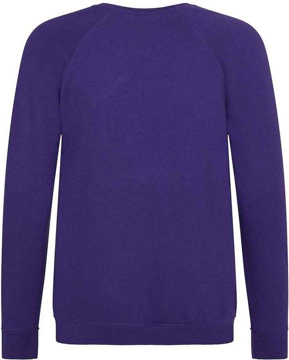 Immagine prodotto Awdis Academy Felpa Raglan Bambini (146, 152)