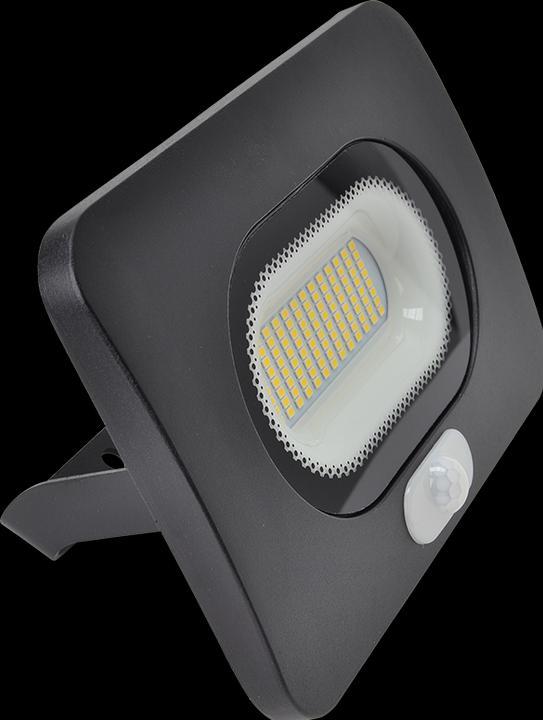 Produktbild Tracon SMD LED Flutlichtstrahler mit Bewegungsmelder (110 lm, IP65)