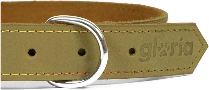 Image du produit Gloria Collier de chien Oasis vert 70 cm (70 x 3 cm) (70 cm)