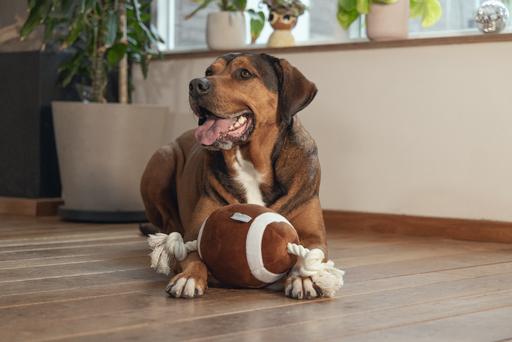 Produktbild Beeztees Hundespielzeug Pary tier (Plüschspielzeug Hund)