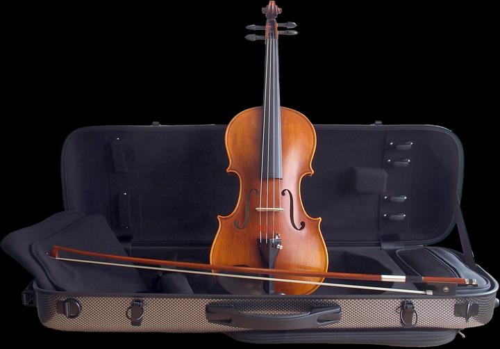 Stentor Violin 4/4, Handmade ProSeries Arcadia, Pernambuco bow, DeLu (4/4)