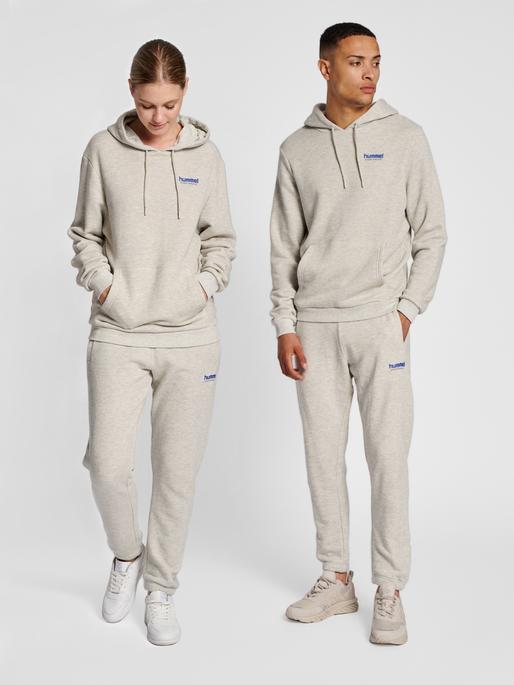 Actual product image hummel Lgc Austin Hoodie (XXL)