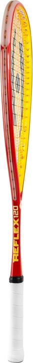 Actual product image Harrow Sports Reflex 120