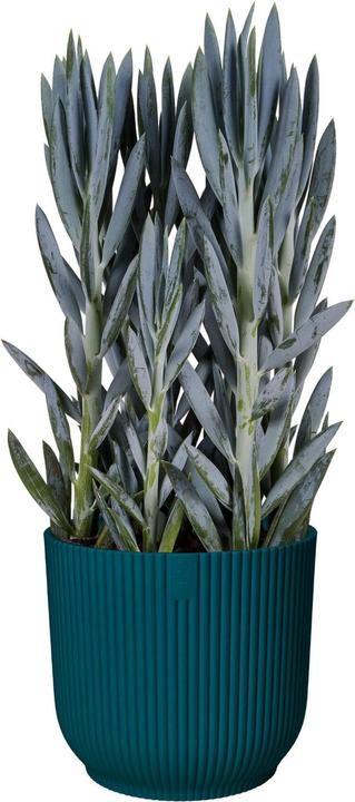 Produktbild Elho Vibes Fold (18.35 cm)