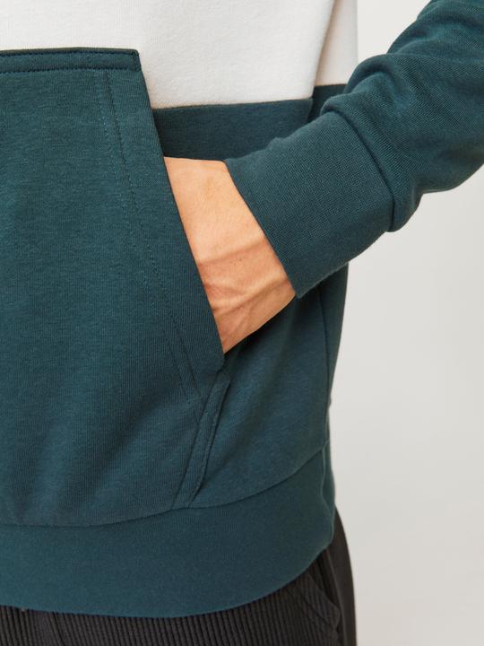 Image du produit Jack & Jones Jwhlakewood Sweat Hood Bf (XS)