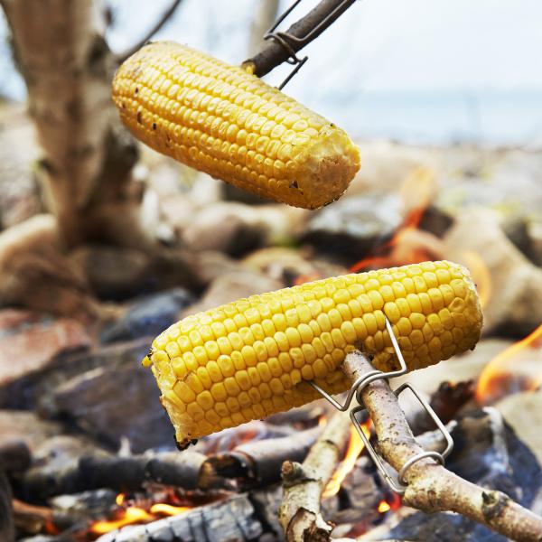 Actual product image Light my Fire Firelighting Kit Bio