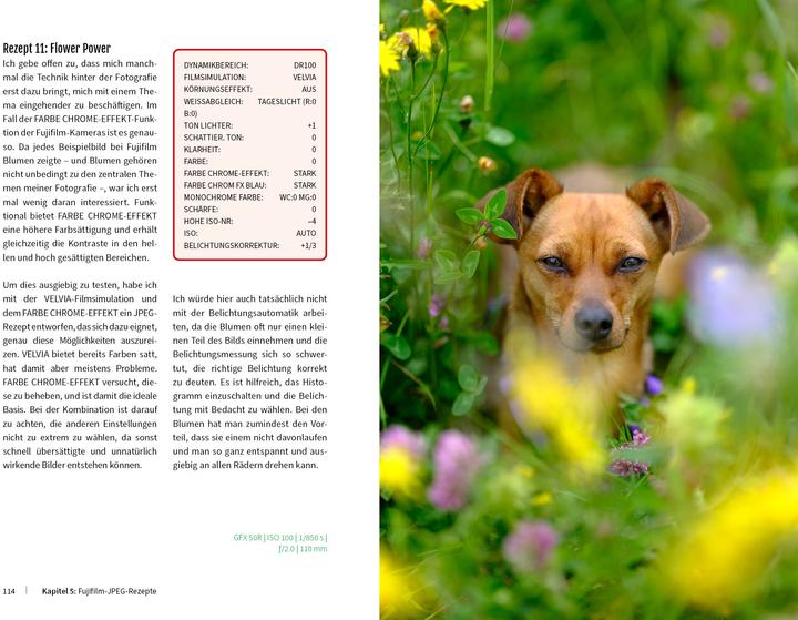 Produktbild 33 JPEG-Rezepte für Fujifilm X-Kameras (Deutsch, Thomas B. Jones, 2023)