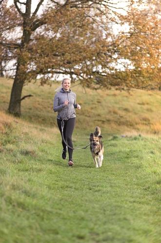 Produktbild Trixie Joggingleine Bauchgurt (M, Hund, Jogging)