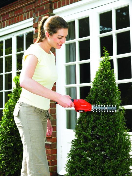 Image du produit Black & Decker Gsl300 (Taille-haies sans fil)