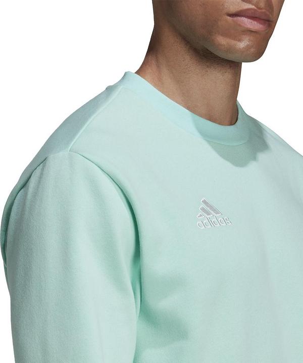 Actual product image adidas Entrada 22 Sweatshirt (XL)
