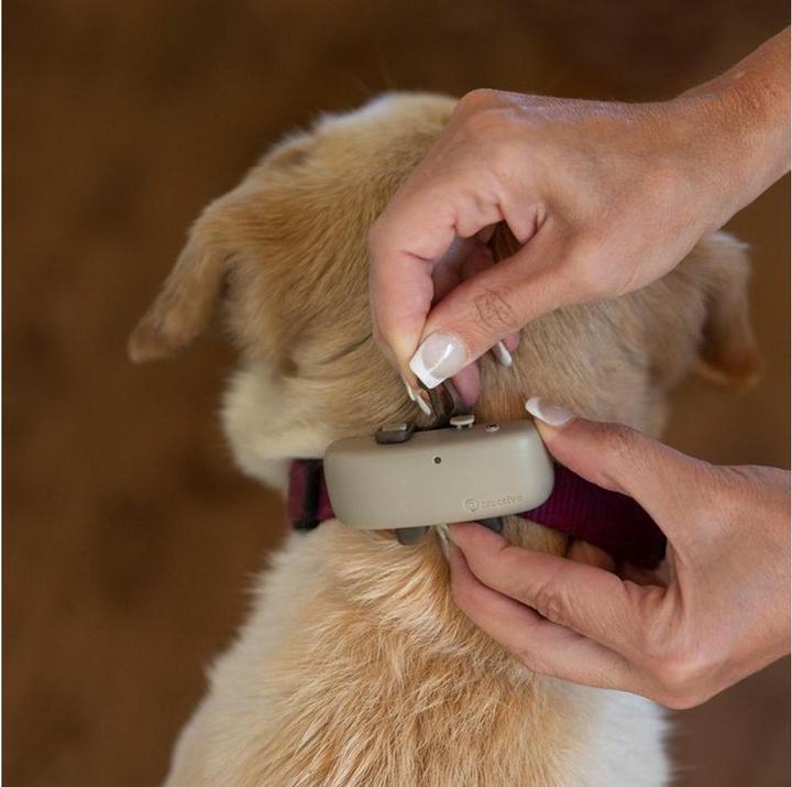 Immagine prodotto Tractive Dog 4 GPS Tracker per cani (Cane, Generale)