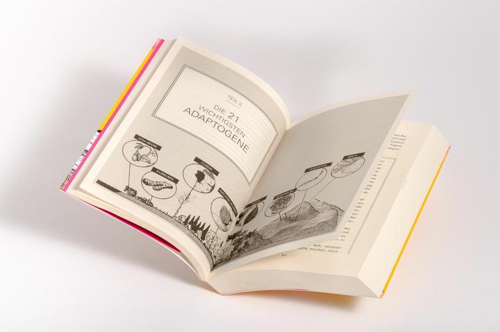 Produktbild Das Handbuch der heilenden Adaptogene (Deutsch, Tero Isokauppila, Danielle Ryan Broida, 2024)