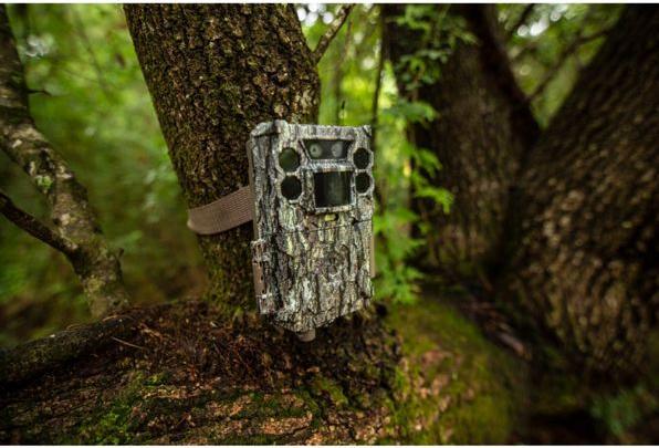 Actual product image Bushnell Core DS No Glow