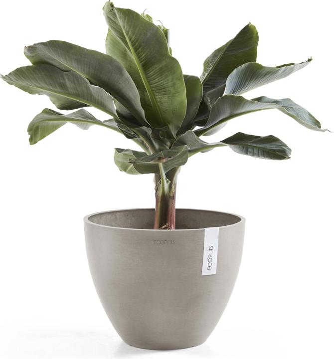 Produktbild Ecopots Antwerp (30 cm)