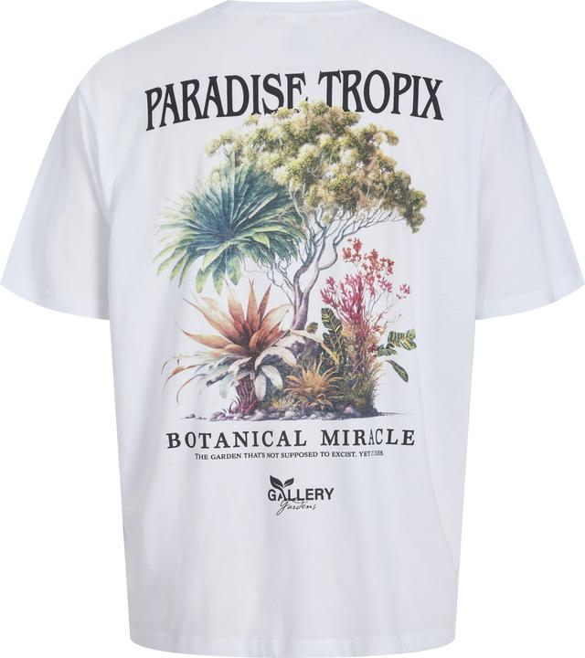 Actual product image Jack & Jones Jorbotaniq Tee Ss Crew Neck Tg Ln (XL)