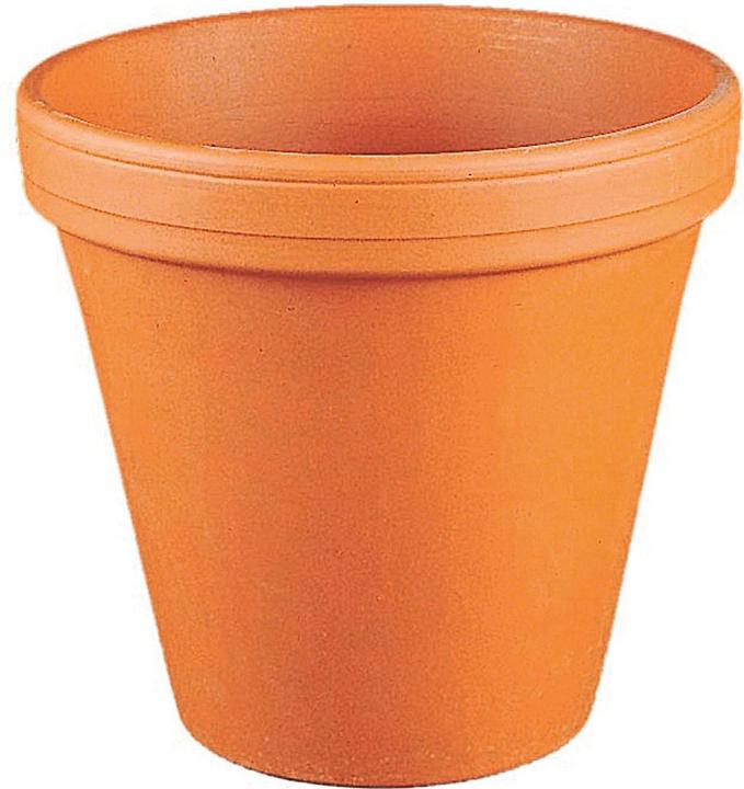 Spang Vaso di fiori