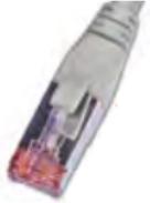 Actual product image Wirewin Network cable (STP, CAT6, 0.25 m)