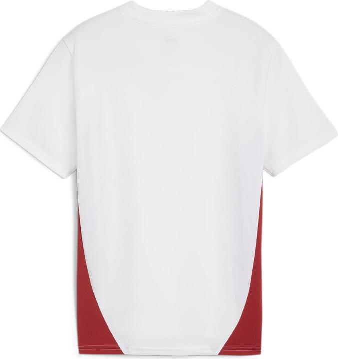 Actual product image Puma RBL Training Jersey Jr (140)