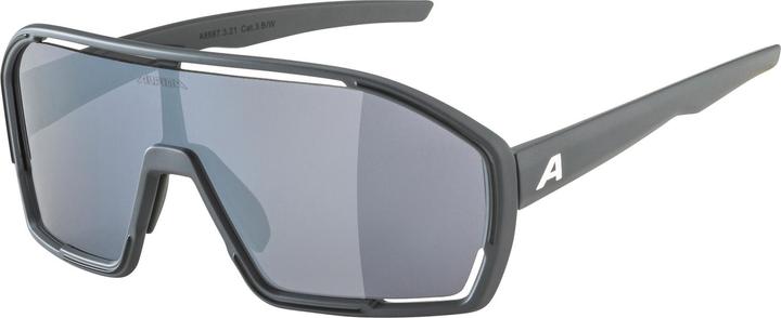 ALPINA SPORTS Bonfire (Midnight-grey matt, Green)