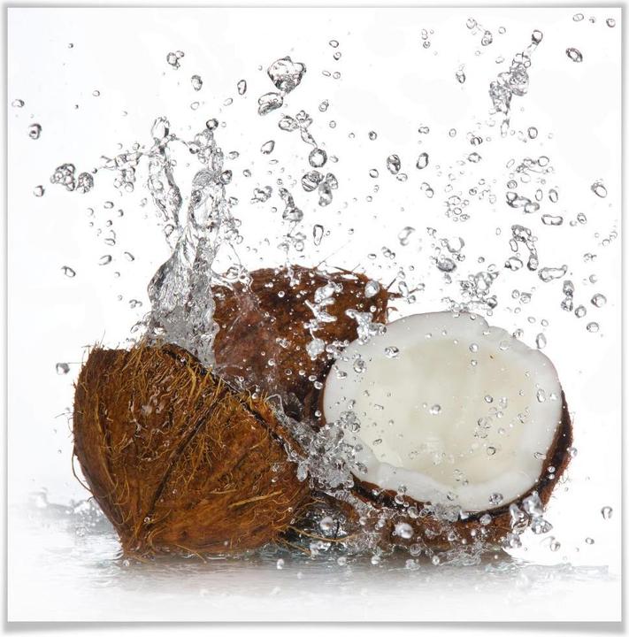Image du produit Trenddeko Noix de coco des Caraïbes (30 x 30 cm)
