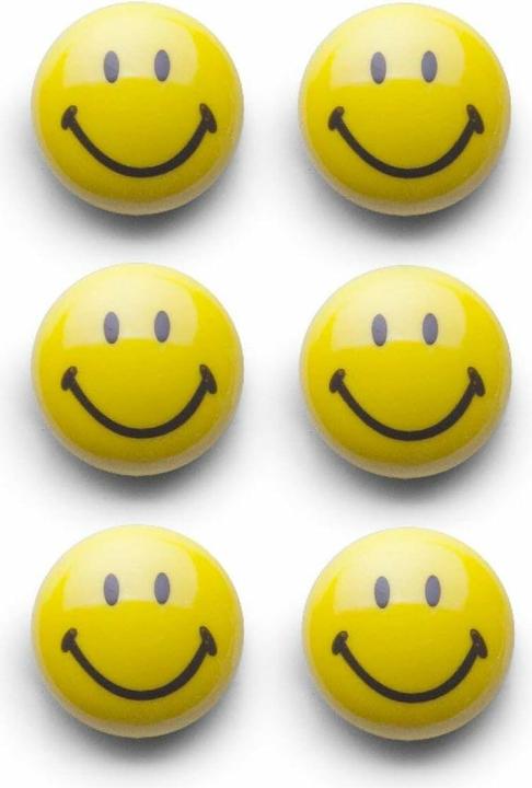 Zeller Present Magnet set (6 x)