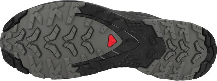 Actual product image Salomon Xa Pro 3D V9 (41 1/3)