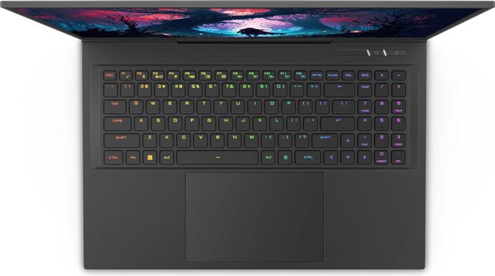 Actual product image Captiva High-end Gaming I81-498 Core i9 RTX 4080 (17.30", Intel Core i9-14900HX, 16 GB, 1000 GB, DE)