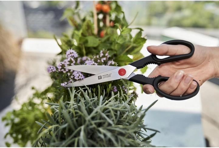 Actual product image Zwilling Twin L (23 cm)