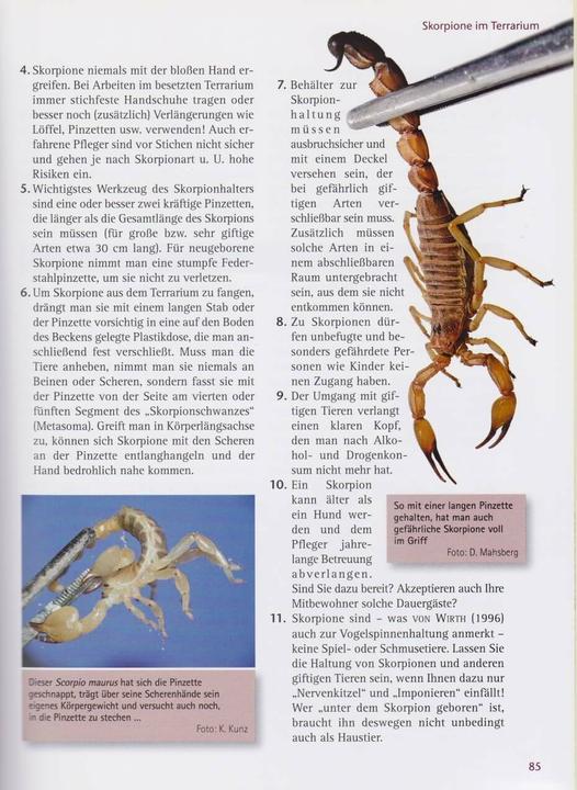 Produktbild Skorpione: Lebensraum, Haltung, Zucht (Deutsch, Rüdiger Lippe, Stephan Kallas, Dieter Mahsberg, 2012)
