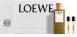 Actual product image Loewe ESENCIA EDT SPRAY 100 ML NAV24 SETS (Eau de toilette, 100 ml)