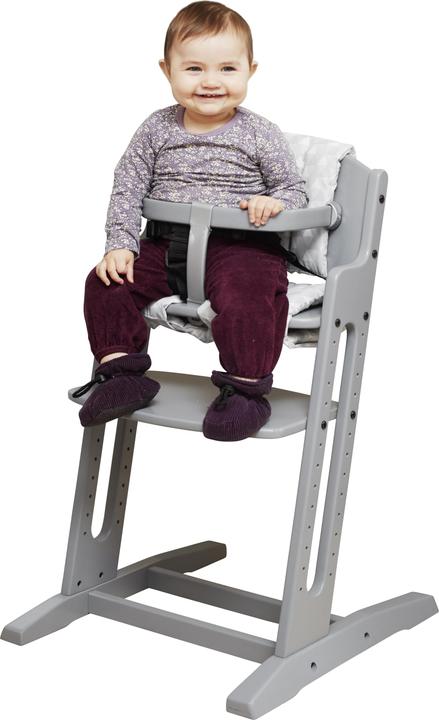 Image du produit Baby Dan Chaise haute traditionnelle DanChair Siège dur Gris (Chaise haute)