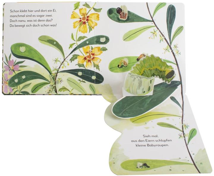 Produktbild Mein Pop-up Buch Schmetterling (Deutsch)