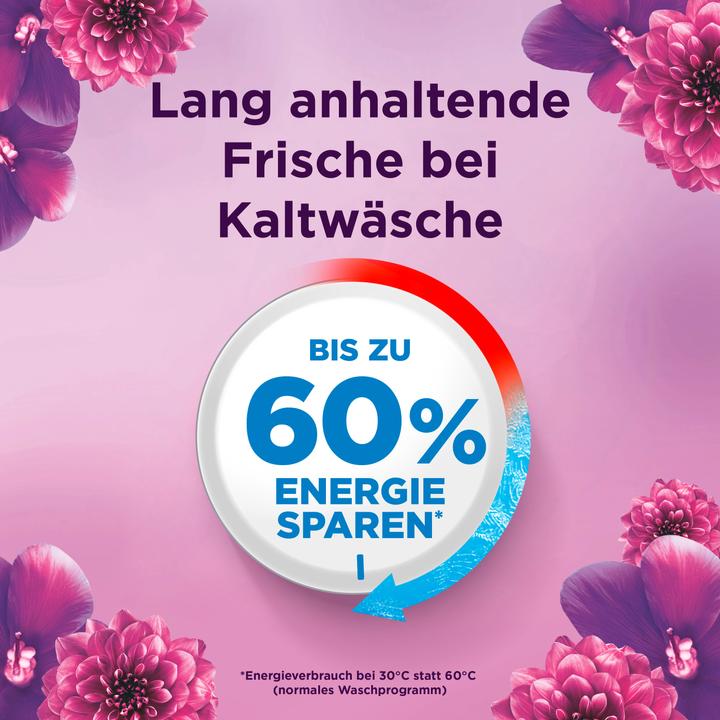 Actual product image Lenor Amethyst Flower Dream (100 Washing cycles, Liquid detergent)