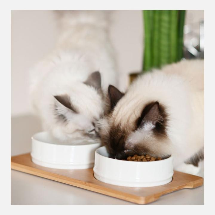 Actual product image Ultra Premium Direct Sterilised Cat - Chicken & Rice (Adult, Senior, 1 pcs., 1000 g)