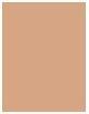 Actual product image Sisley Phyto-Teint Ultra Éclat (3 Natural)