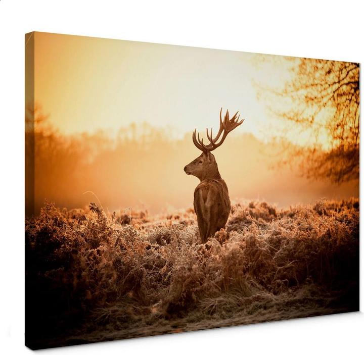 Immagine prodotto Trenddeko Cervo maestoso (45 x 30 cm)