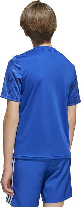 Actual product image adidas Team Icon 25 Jersey Kids (128)