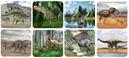 Image du produit Scratch Projecteur lampe de poche dinosaure, disques d'image inclus (Allemand, Français, Italien, Anglais)