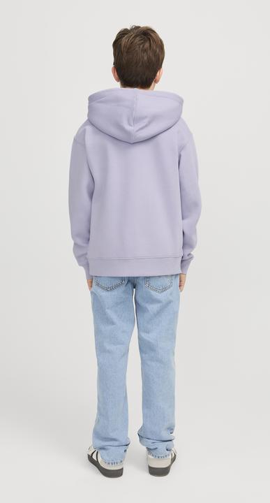 Actual product image Jack & Jones Jjestar Jj Sweat Hood Noos Jnr (128)