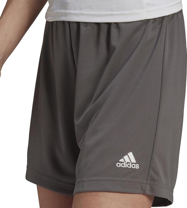 Actual product image adidas Entrada 22 Shorts (S)