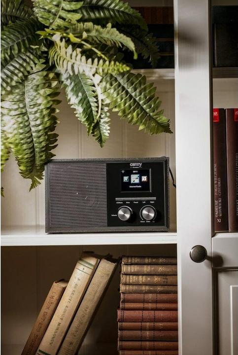 Actual product image Camry CR-1180 (DAB, Web radio, Wi-Fi)