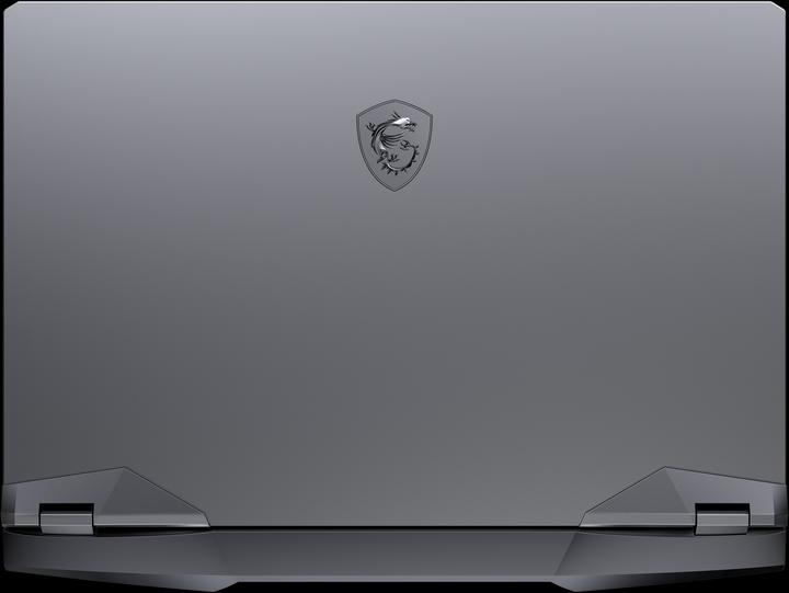 Produktbild MSI GE66 Raider (15.60", Intel Core i9-10980HK, 16 GB, 1000 GB, CH)