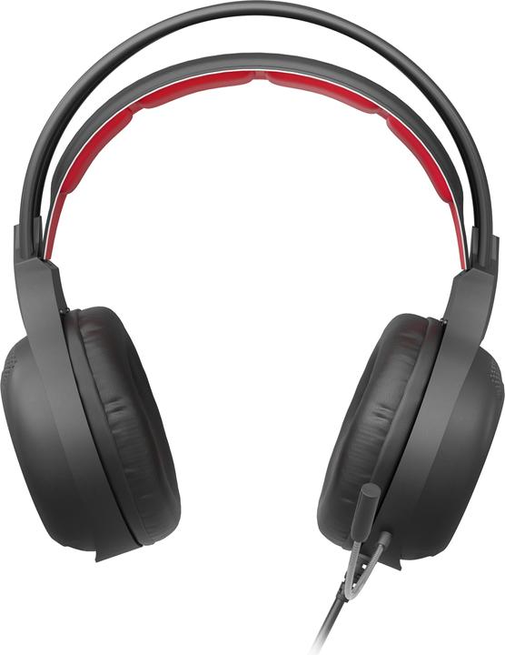 Immagine prodotto Genesis Cuffie da gioco NATEC Radon 300 (Cablato)