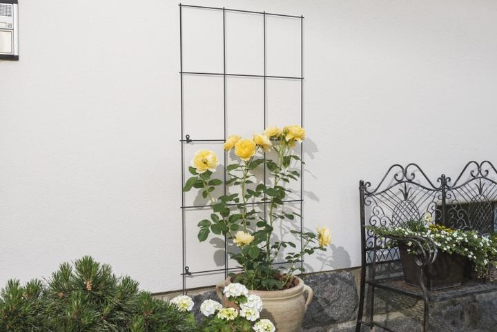 Image du produit Windhager Treillis métallique (150 cm, 45 cm)