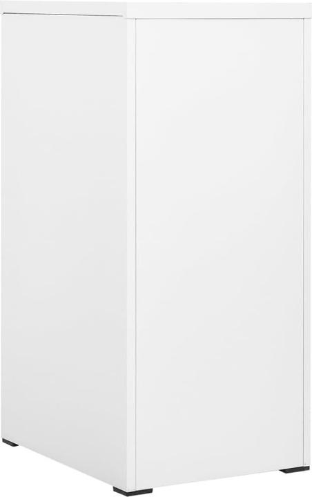 Actual product image VidaXL Aktenschrank (46 x 62 x 102.5 cm)