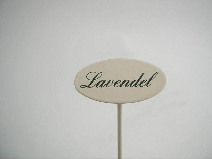 Produktbild Münder Gewürzstecker Lavendel 20 cm (20 cm)