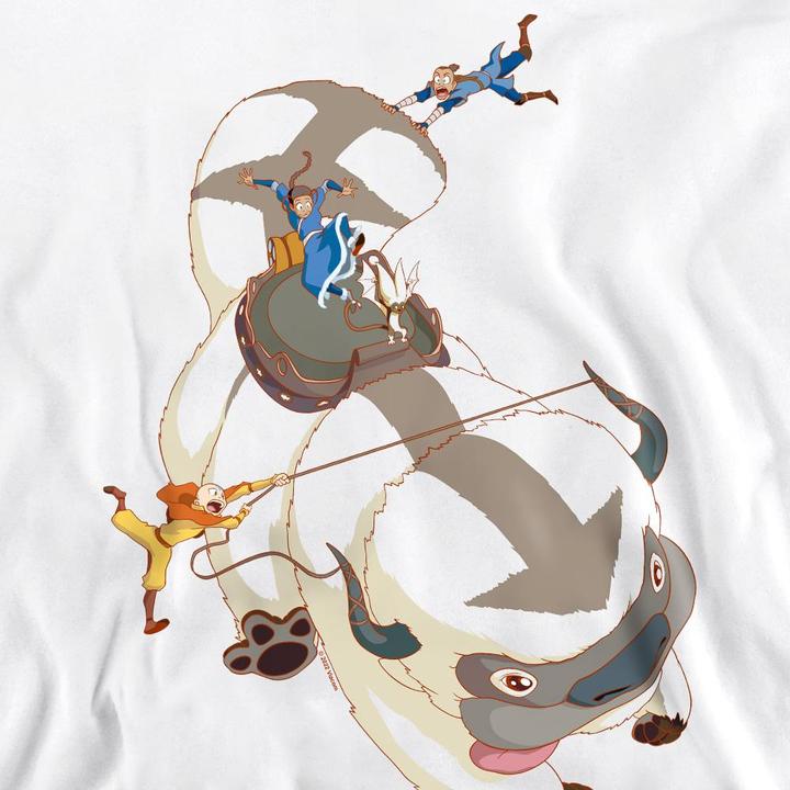 Produktbild Avatar: The Last Airbender Hang On Sweatshirt (M)