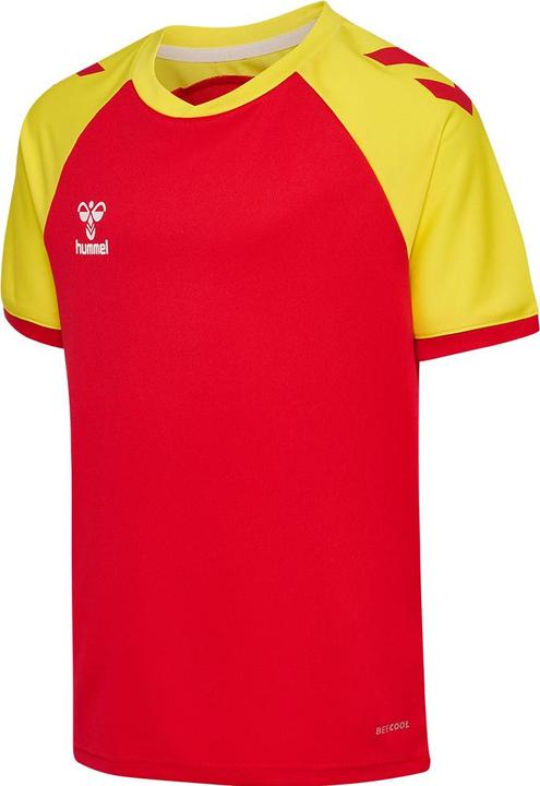 trueredblazingyellow